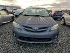 Lot #3297730819 2011 TOYOTA COROLLA BA