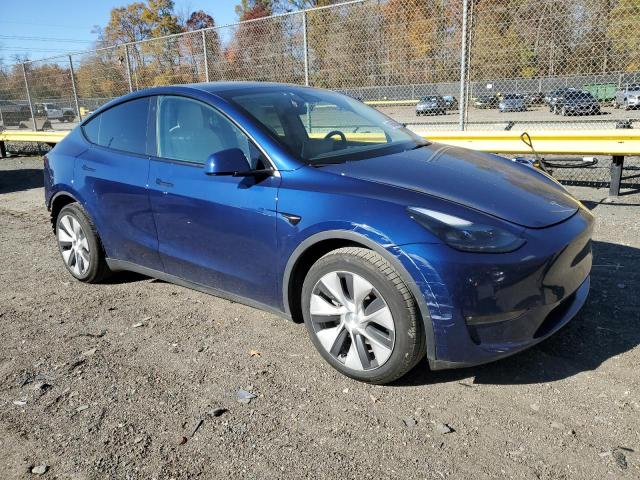 2022 TESLA MODEL Y #3282188876