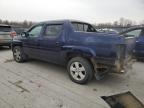 Lot #3303880732 2013 HONDA RIDGELINE