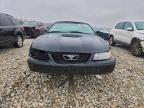 Lot #3297024354 1999 FORD MUSTANG GT