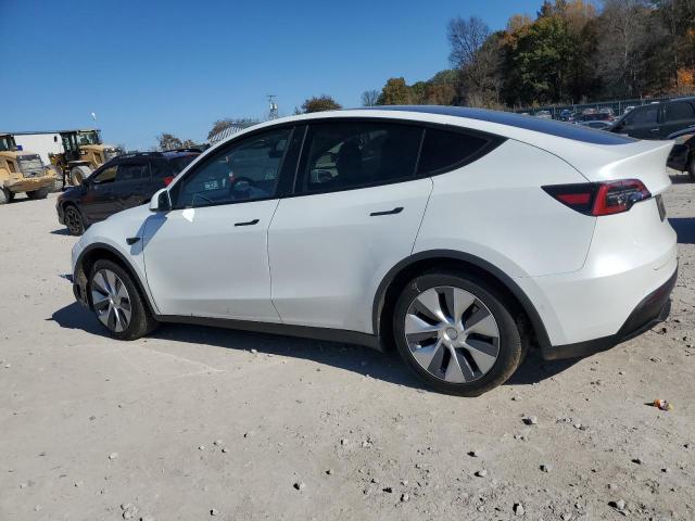 2021 TESLA MODEL Y #3304737924