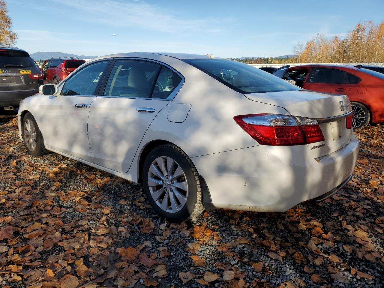 HONDA ACCORD EXL