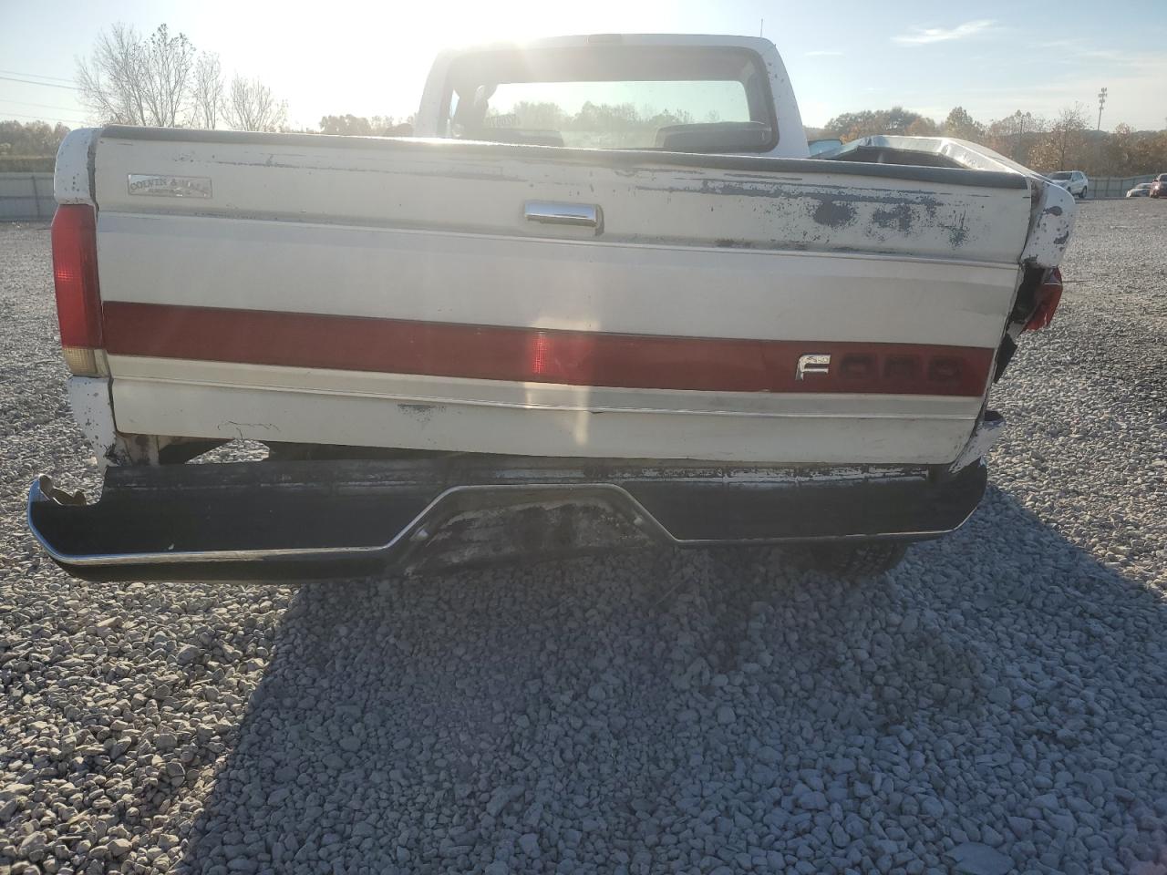 Lot #3287524998 1989 FORD F150