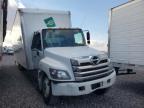 Lot #3304768905 2024 HINO TRUCK