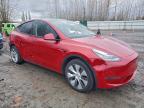 Lot #3302964626 2023 TESLA MODEL Y