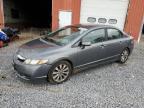 Lot #3303779447 2011 HONDA CIVIC EX