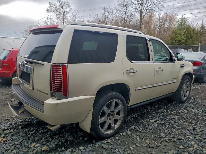 2011 CADILLAC ESCALADE P #3297055538