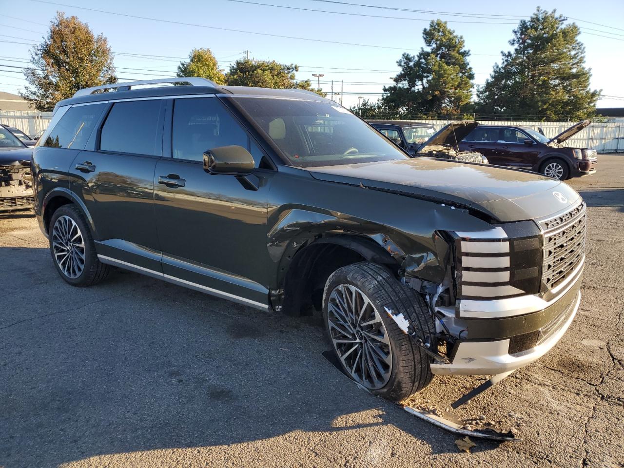 HYUNDAI PALISADE CALLIGRAPHY
