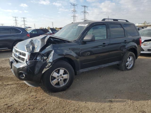 Global Auto Auctions: 2011 FORD ESCAPE XLT