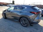 Lot #3293715403 2024 LEXUS NX 350 PRE
