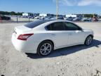 Lot #3317799163 2010 NISSAN MAXIMA S
