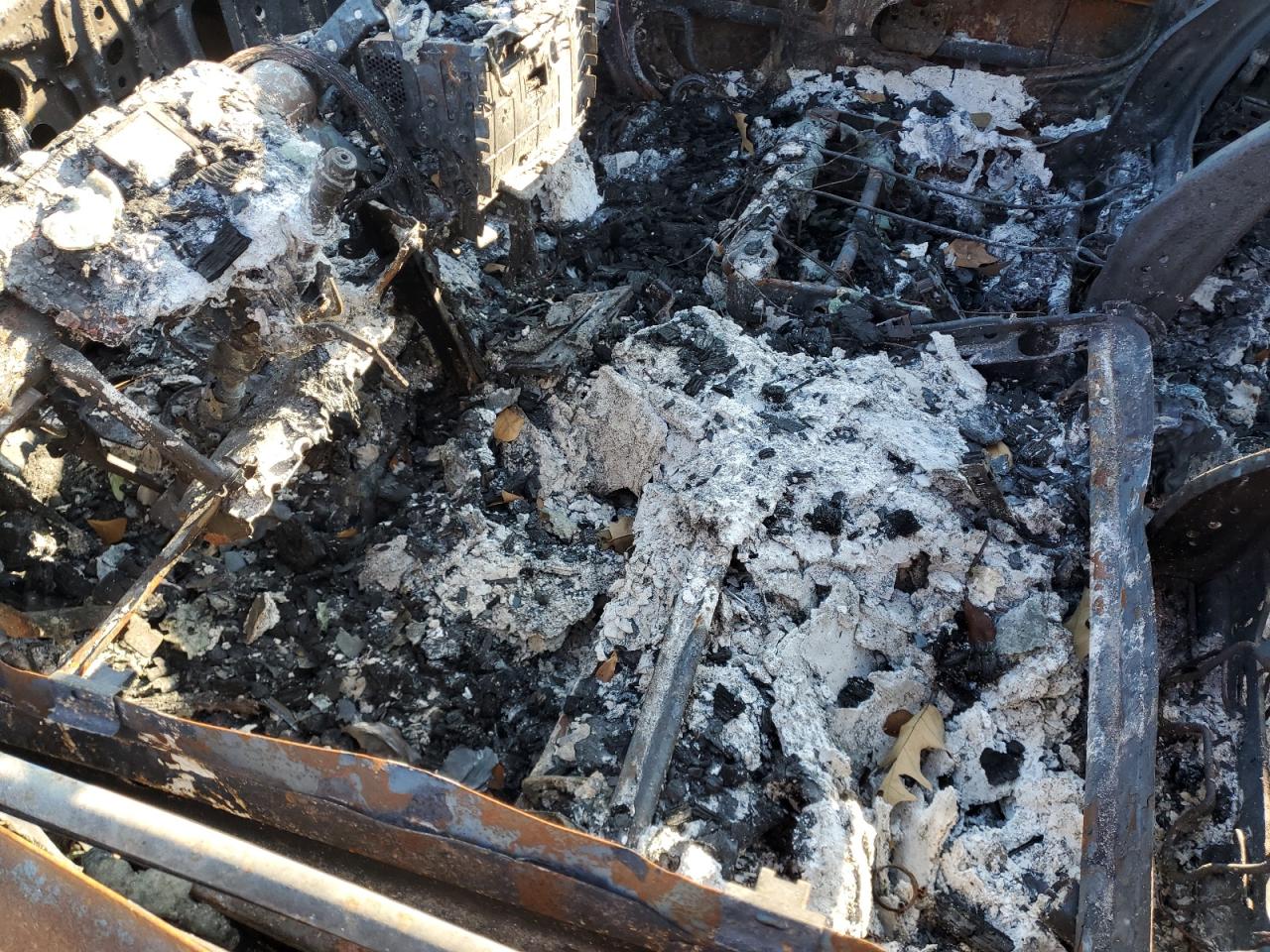 Lot #3303672932 2017 TOYOTA CAMRY LE