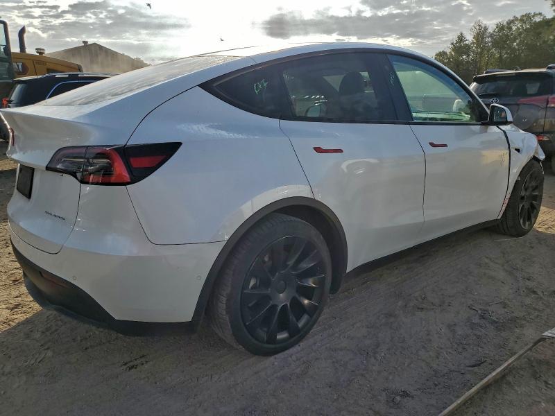2021 TESLA MODEL Y #3297889803