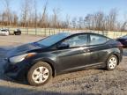Lot #3303732422 2016 HYUNDAI ELANTRA SE