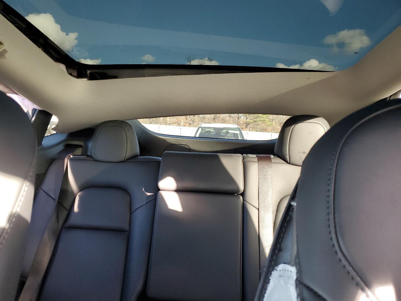 Lot #3308218234 2024 TESLA MODEL Y