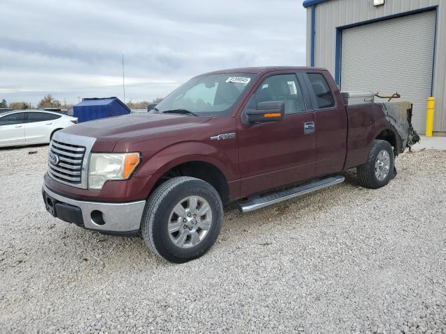 2010 FORD F150 SUPER - 1FTFX1EV1AKE29346