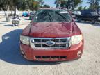 Lot #3303944711 2012 FORD ESCAPE XLT