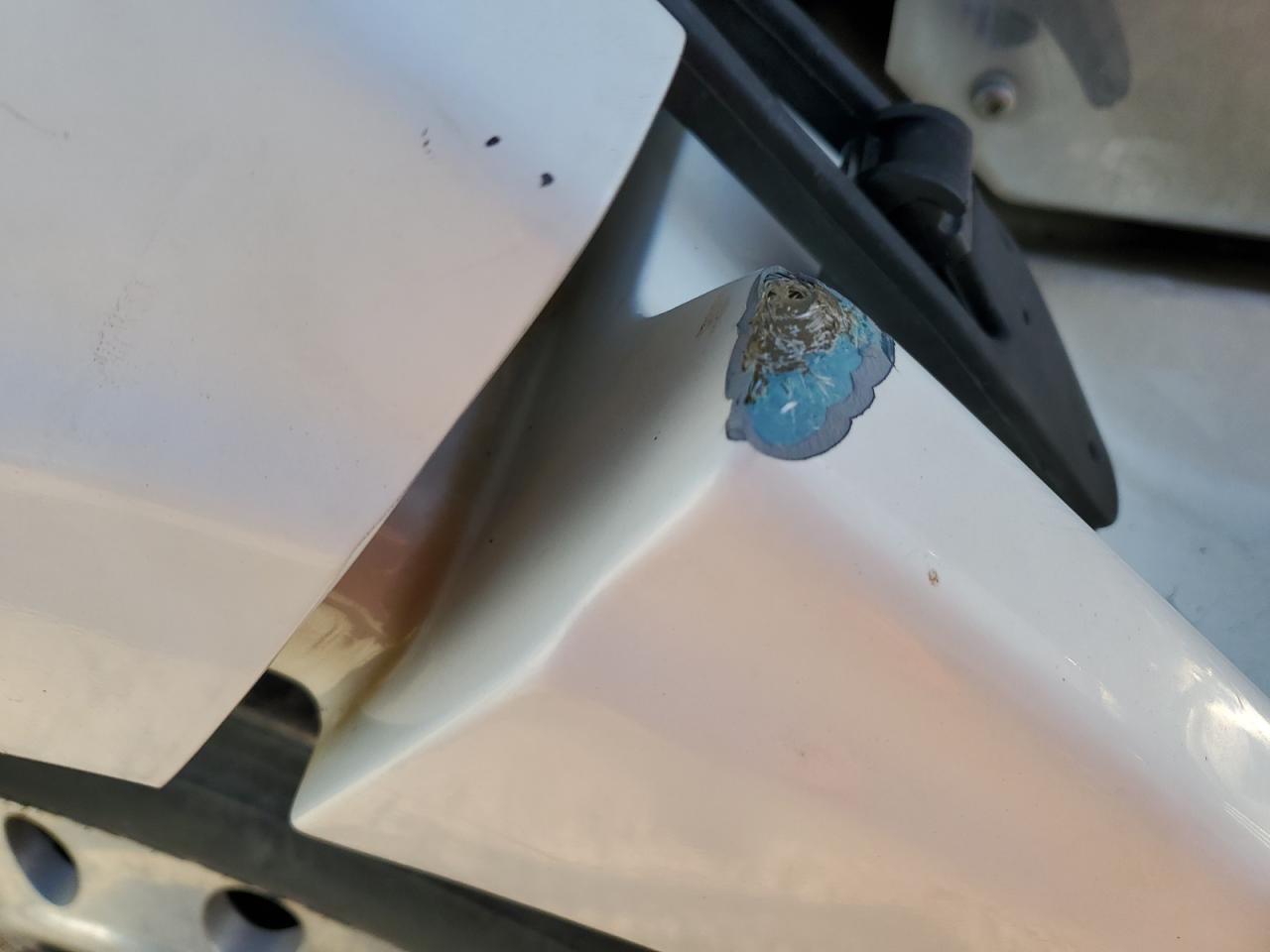 Lot #3304629945 2013 WESTERN STAR/AUTO CAR CONVENTION