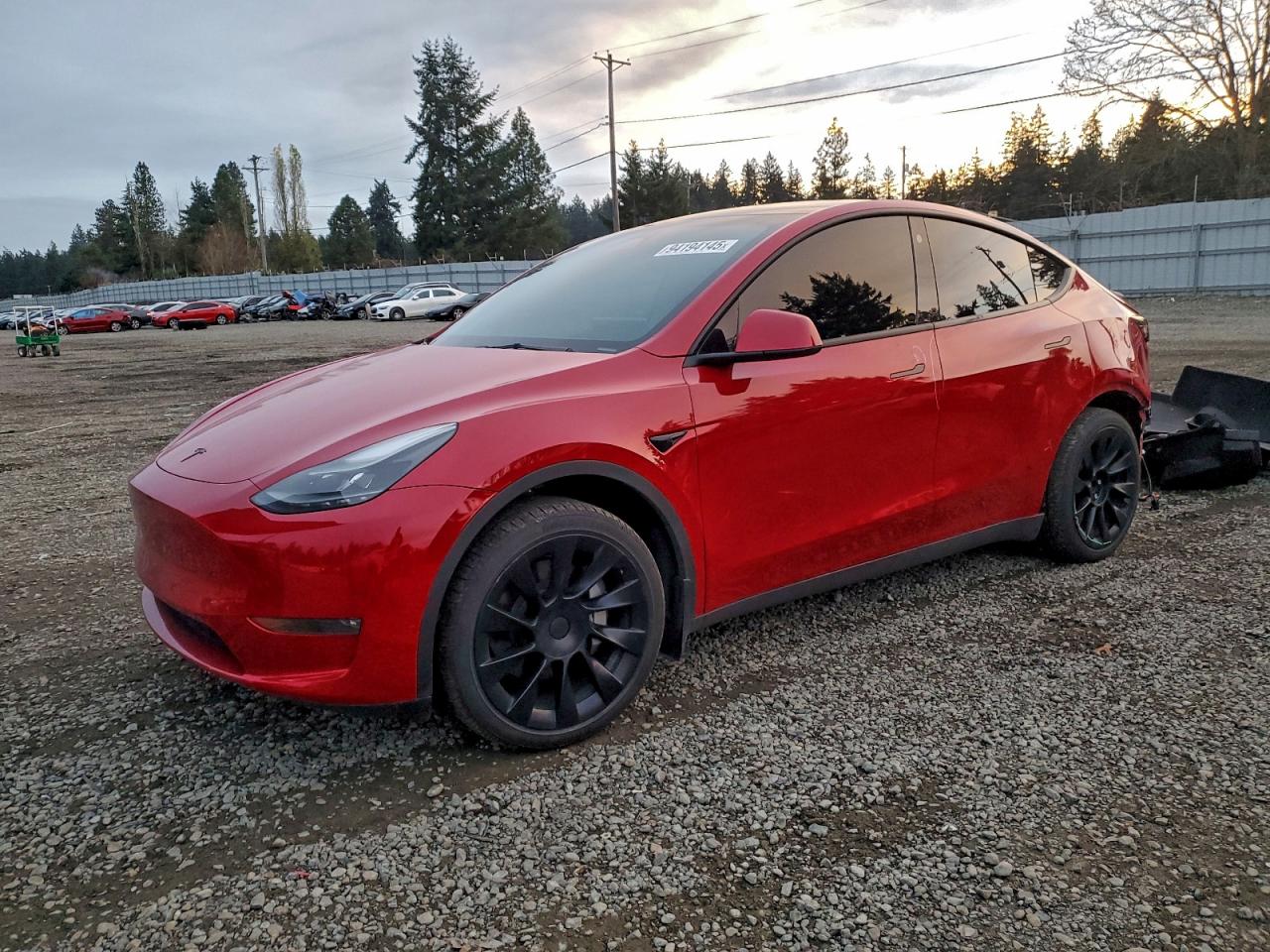 TESLA MODEL Y