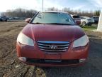 Lot #3292422591 2010 HYUNDAI ELANTRA BL