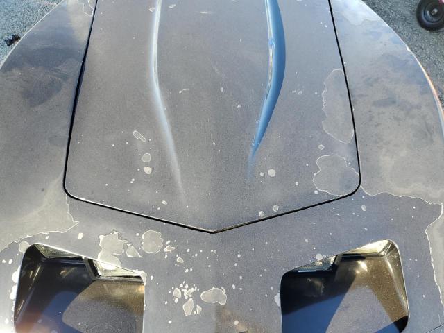 1981 CHEVROLET CORVETTE #3280469219