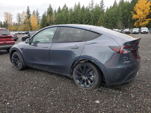 2022 TESLA MODEL Y #3304865539