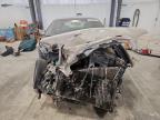 Lot #3296302450 2004 BUICK PARK AVENU