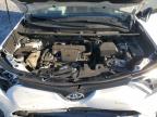 Lot #3304760919 2016 TOYOTA RAV4 SE