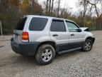 Lot #3301661636 2005 FORD ESCAPE XLT