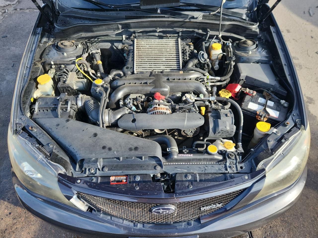 Lot #3291766293 2008 SUBARU IMPREZA WR