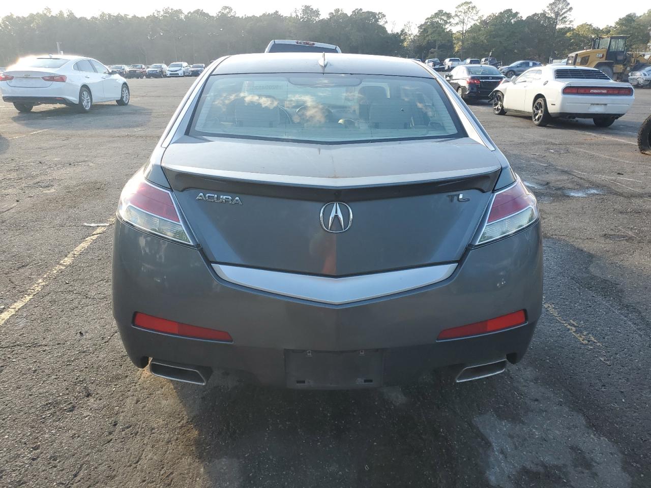 Lot #3290064260 2009 ACURA TL
