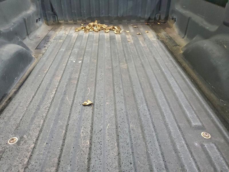 1998 FORD F150 #3310686732