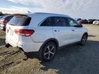 Lot #3296978835 2016 KIA SORENTO EX