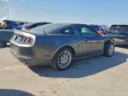 Lot #3297316437 2013 FORD MUSTANG