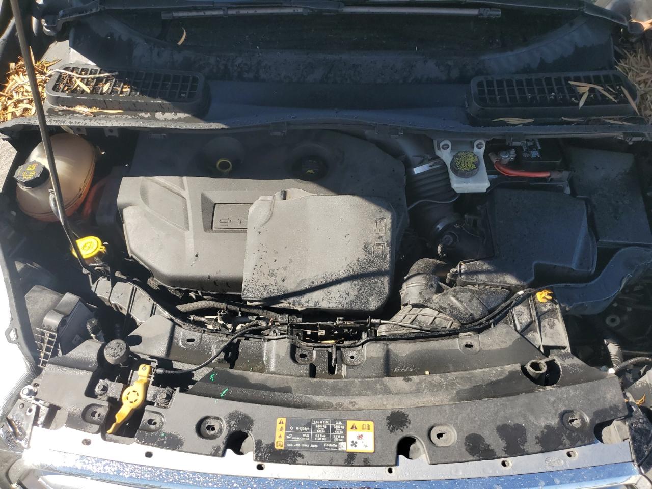 FORD ESCAPE TITANIUM