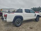 Lot #3301609676 2021 TOYOTA TACOMA DOU