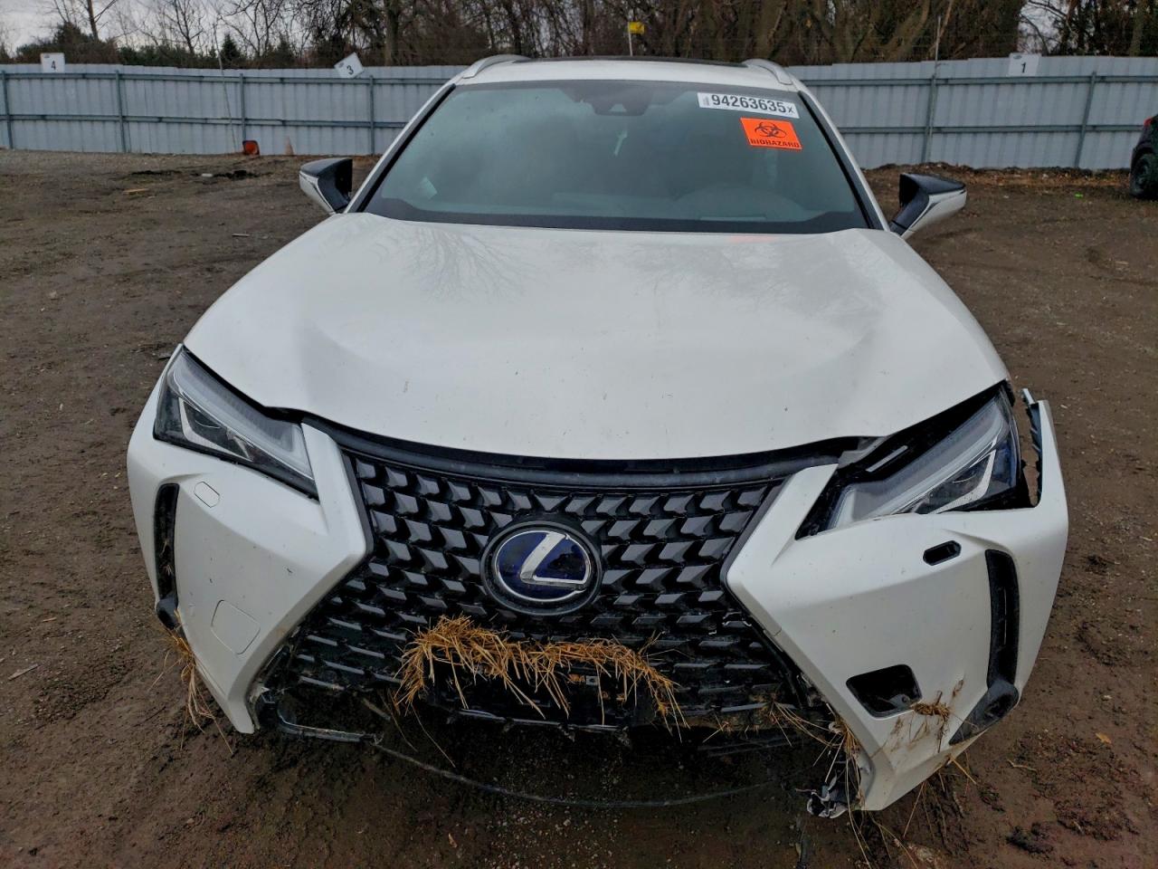 LEXUS UX 250H