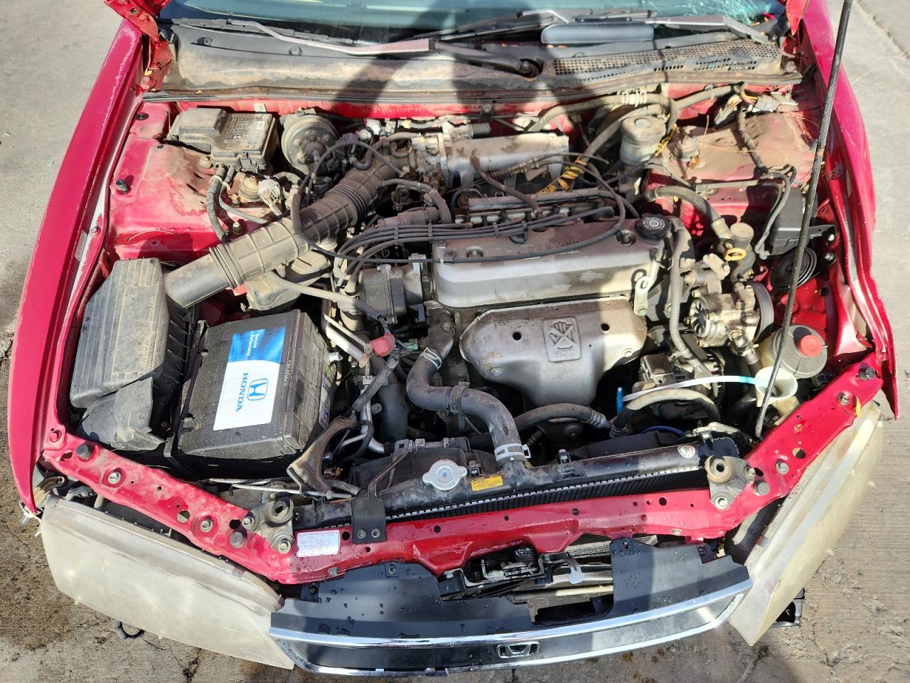 Lot #3305896299 1997 HONDA ACCORD SE