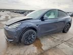 Lot #3310309954 2021 TESLA MODEL Y