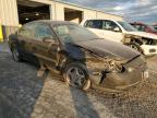 Lot #3303954699 1997 FORD TAURUS SHO