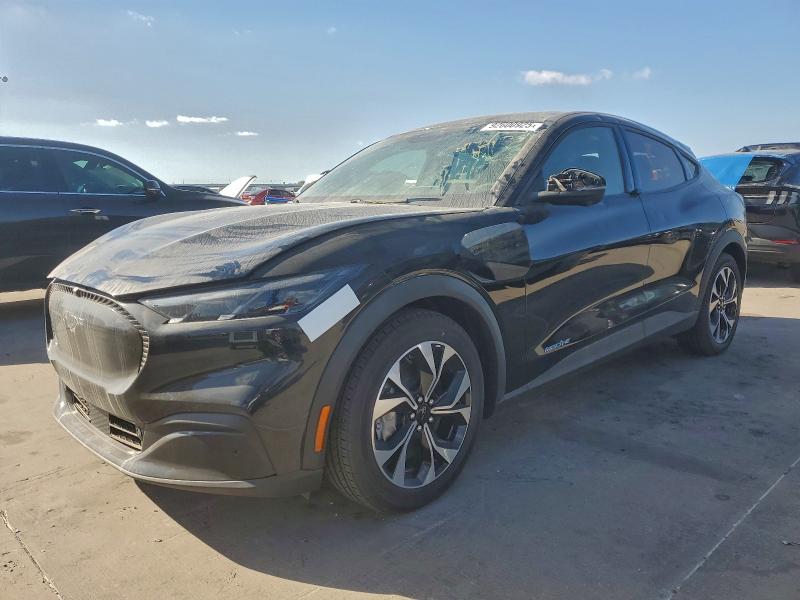 Global Auto Auctions: 2025 FORD MUSTANG MA