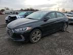 Lot #3304569442 2017 HYUNDAI ELANTRA SE