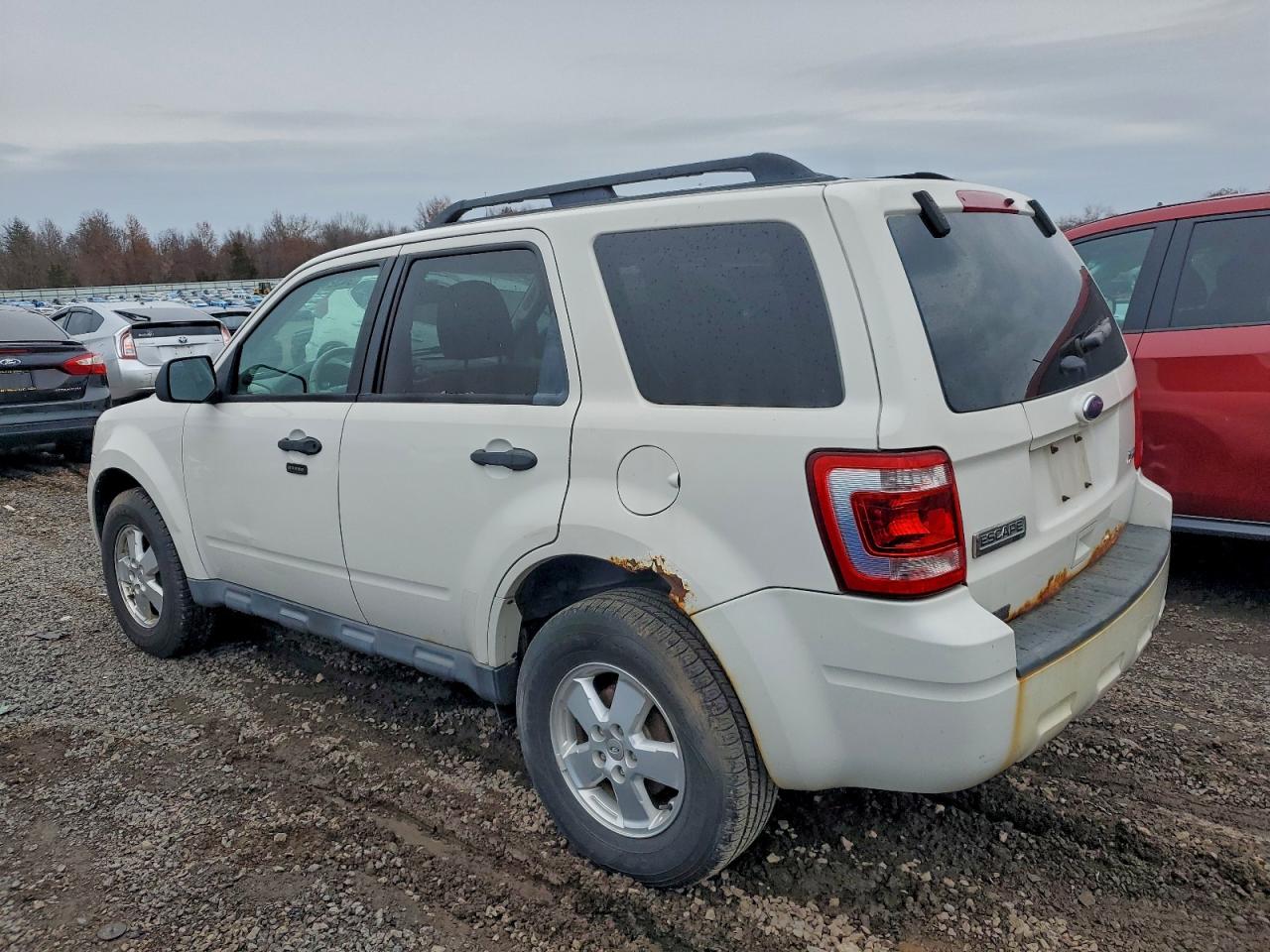 Lot #3297923792 2012 FORD ESCAPE XLT