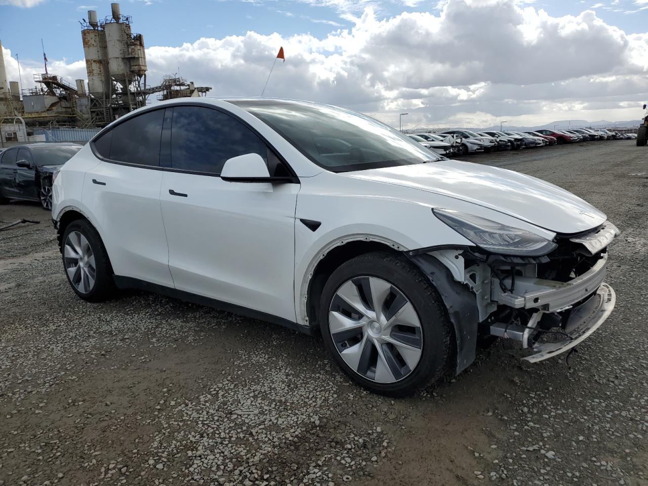 Lot #3318065382 2021 TESLA MODEL Y