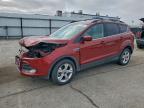 Lot #3312408709 2014 FORD ESCAPE SE