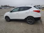 Lot #3292397296 2014 HYUNDAI TUCSON GLS