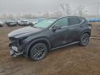 Lot #3294460499 2025 LEXUS NX 350H BA