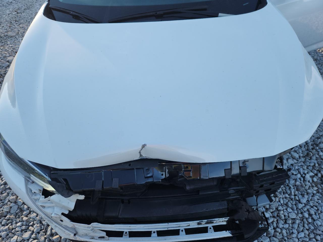 Lot #3302878888 2024 NISSAN SENTRA SR