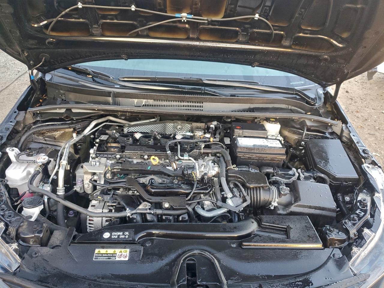 Lot #3315653779 2024 TOYOTA COROLLA LE