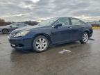 Lot #3296260443 2008 LEXUS ES 350